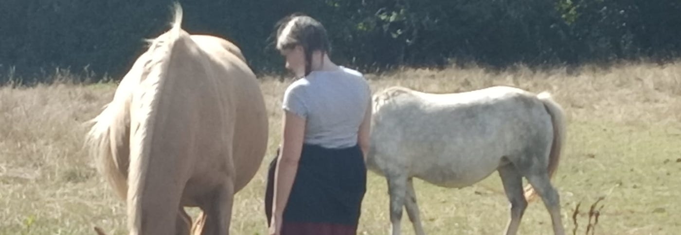 Private Equine Therapy